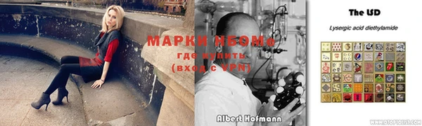 стафф Алексин