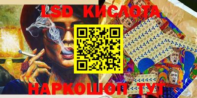 mdpv Славгород