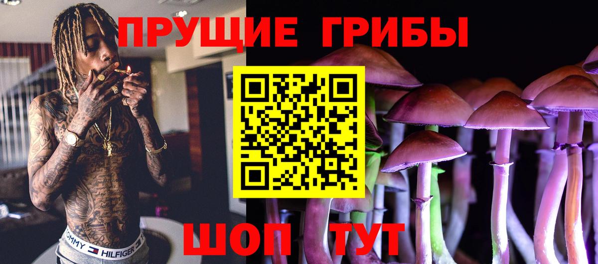 Галлюциногенные грибы Cubensis Ставрополь